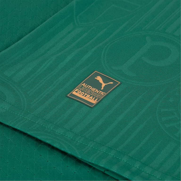 Camisola Palmeiras Verde Home 2024/25